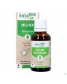 Herbalgem Vijgenboom Bio 30ml