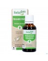 Herbalgem Frambozenstruik Bio 30ml
