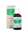 Herbalgem Frene Bio 30ml