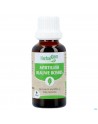 Herbalgem Myrtilles Bio 30ml