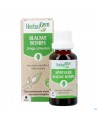 Herbalgem Blauw Bosbes Bio 30ml