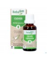 Herbalgem Olijfboom Bio 30ml