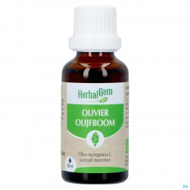 Herbalgem Olijfboom Bio 30ml