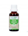 Herbalgem Olijfboom Bio 30ml