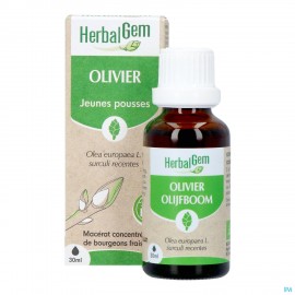 Herbalgem Olijfboom Bio 30ml