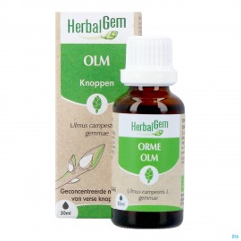 Herbalgem Orme Bio 30ml