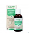 Herbalgem Mammoetboom Bio 30ml