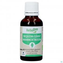 Herbalgem Sequoia Bio 30ml