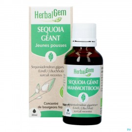 Herbalgem Mammoetboom Bio 30ml
