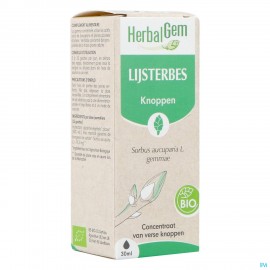 Herbalgem Sorbier Bio 30ml