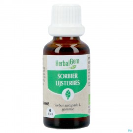 Herbalgem Sorbier Bio 30ml