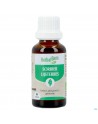 Herbalgem Sorbier Bio 30ml