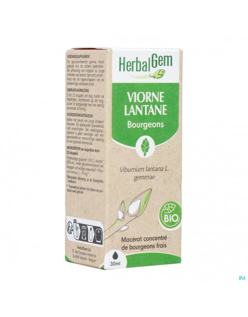 Herbalgem Sneeuwbal Bio 30ml