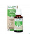 Herbalgem Sneeuwbal Bio 30ml