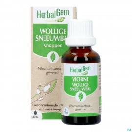 Herbalgem Sneeuwbal Bio 30ml