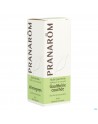 Wintergreen Ess Olie 10ml Pranarom