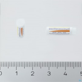 OSCILLOCOCCINUM 200 6 DOSES 