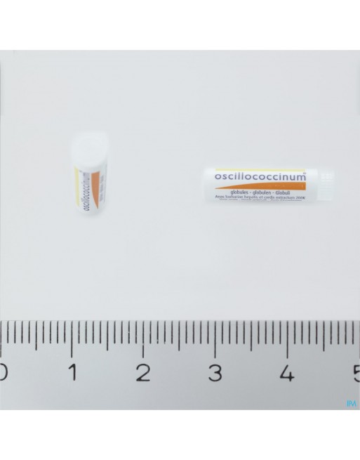Oscillococcus OSCILLOCOCCINUM 200 6 DOSES - online bestellen