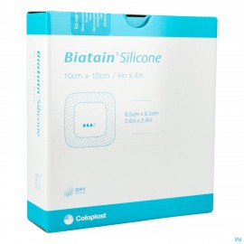 Biatain Silicone Pans...