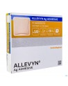 Allevyn Ag Adhesive Ster 12,5x12,5cm 10 66800076