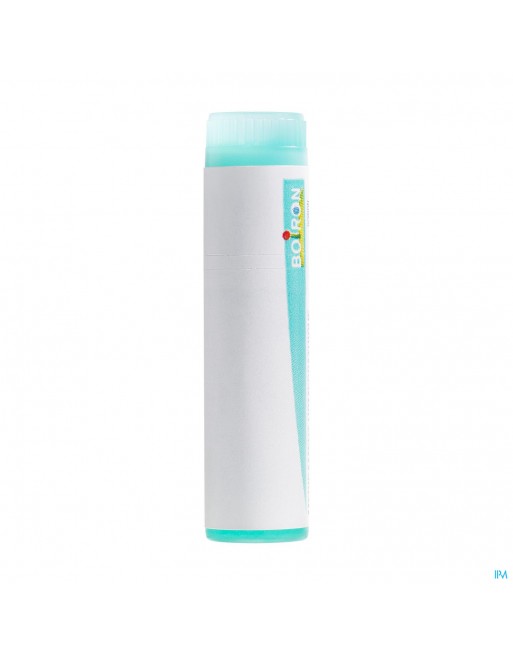 Psorinum 200k Gl Boiron