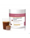 Biocyte Collagen Max Cacao Pdr Pot 260g