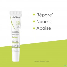 Aderma Dermalibour+ Cicabaume Levres 15ml