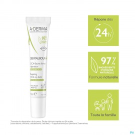 Aderma Dermalibour+ Cicabaume Levres 15ml
