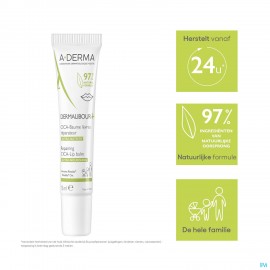 Aderma Dermalibour+ Cicabaume Levres 15ml