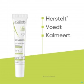 Aderma Dermalibour+ Cicabaume Levres 15ml