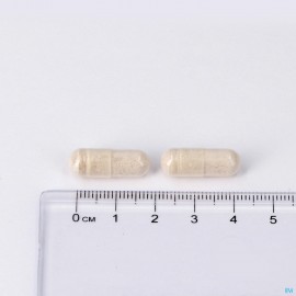 Lepivits Sterk Ijzer V-caps 60