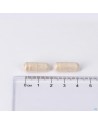LEPIVITS Fer Forte  60 Caps 