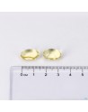 Lepivits Teunisbloem & Borageolie Caps 90