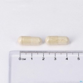 Lepivits Silica Caps Veg 60