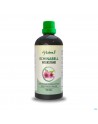 Fytobell Echinabell Nf 100ml