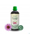 Fytobell Echinabell Nf 100ml