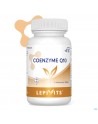 LEPPIN COENZYME Q10 90 GEL NM