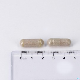 LEPPIN GLUTAPPIN 180 CAPS NM