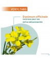 voxyl naturactive 24 pastilles a sucer nf