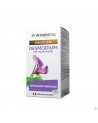 Arkogelules Desmodium 45