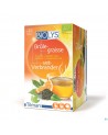 Biolys Groene Thee Citroenvruchten Sach 24
