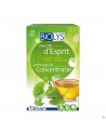 Biolys Ginkgo Groene Thee Sach 24