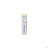 Dulcamara 5ch Gr 4g Boiron