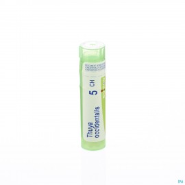 Thuya Occidentalis 5ch Gr 4g Boiron