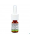 Rhinospray+eucal.nez Bouche 1,18mg/ml Spr Nas.10ml