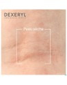 Dexeryl Creme Fl Pompe 500g