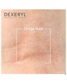 Dexeryl Creme Fl Pompe 500g