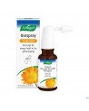 A.vogel Spray Auriculaire Peau Seche 20ml